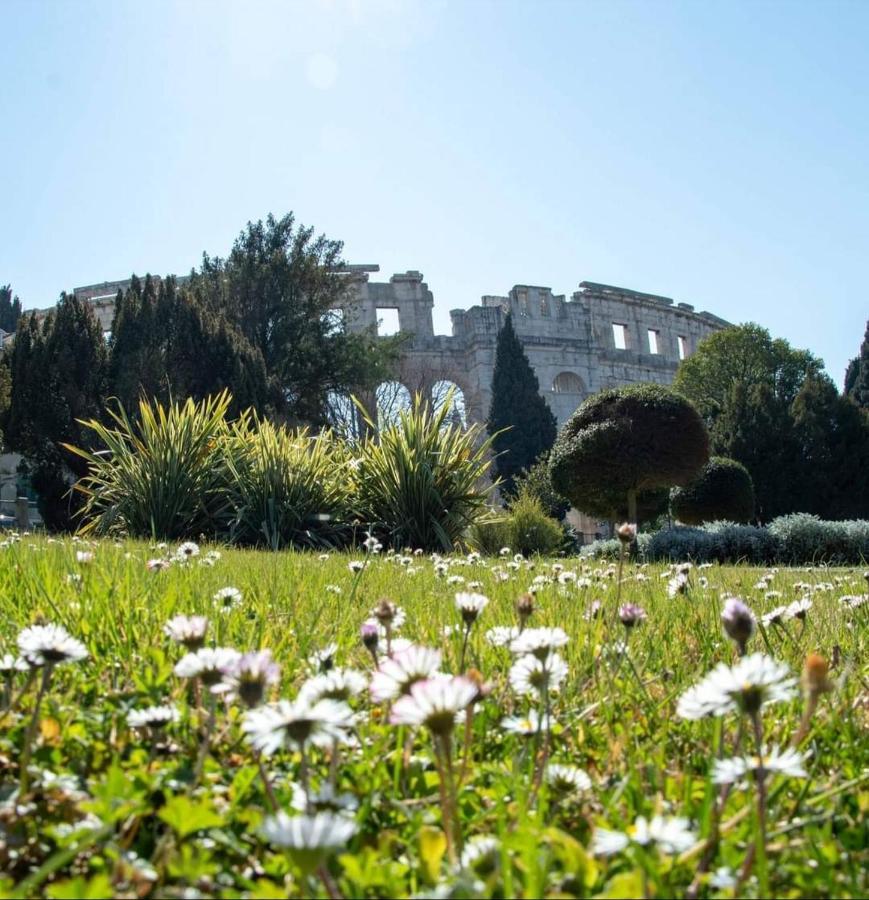 Apartment Antonella Fasana Fažana エクステリア 写真