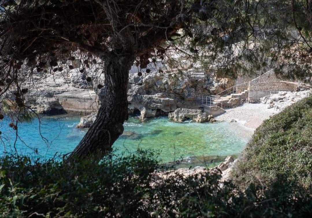 Apartment Antonella Fasana Fažana エクステリア 写真