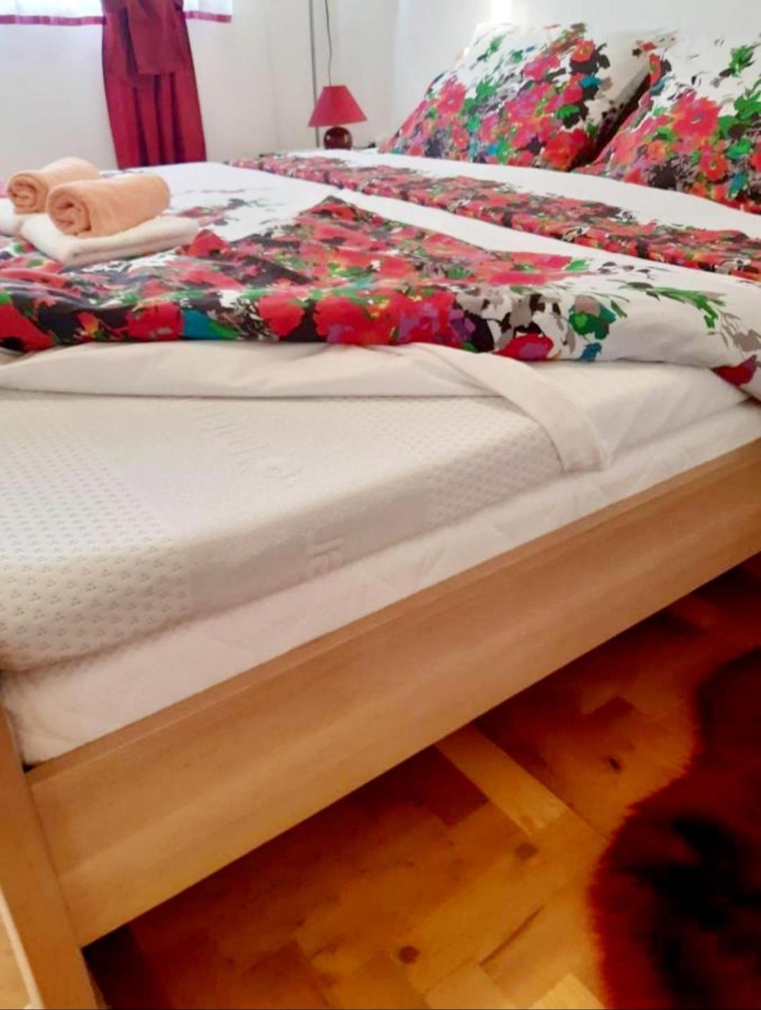Apartment Antonella Fasana Fažana エクステリア 写真